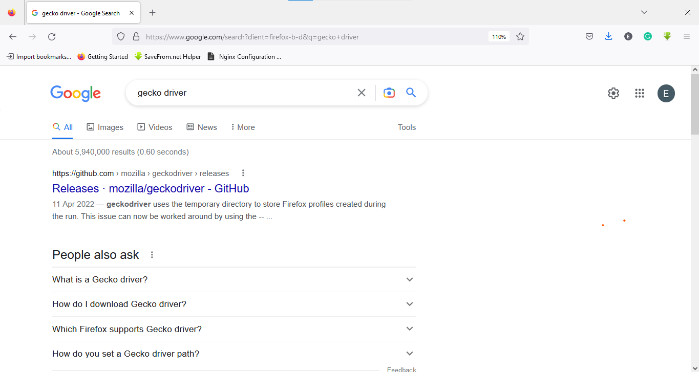 gecko-driver-search.png