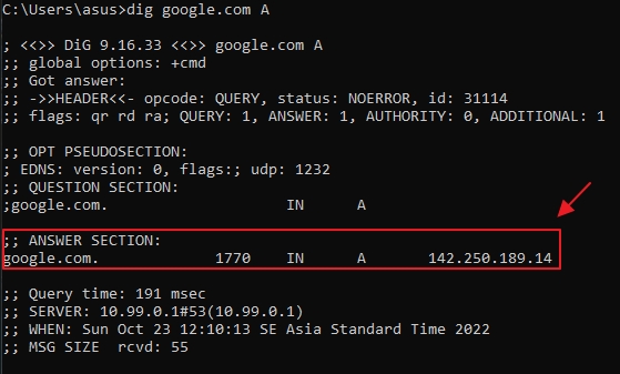 Dig command for Google domain with A records query