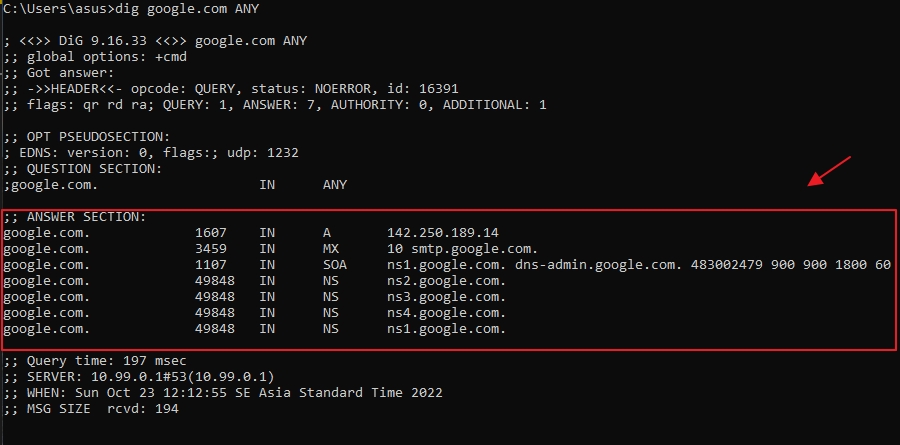 dig command with any option for Google domain