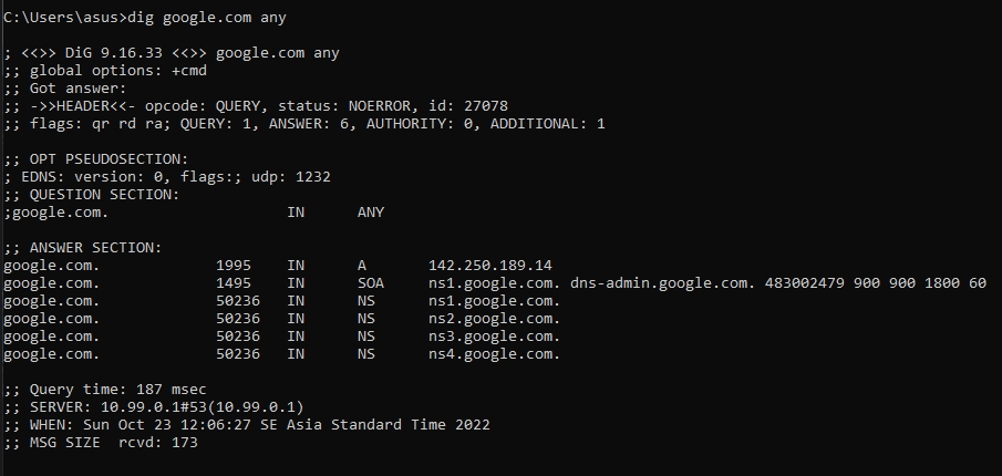 Dig google domain command on Windows