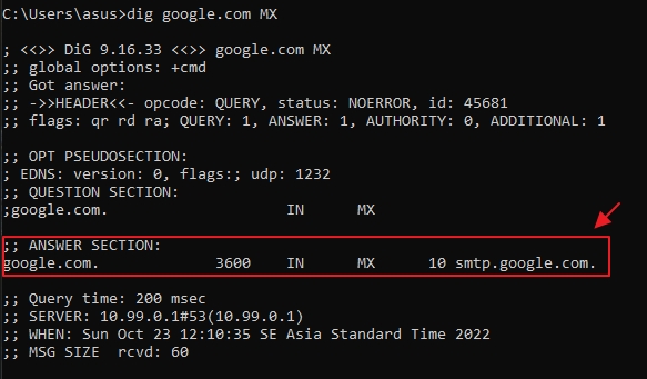 Dig command for Google domain with MX records query