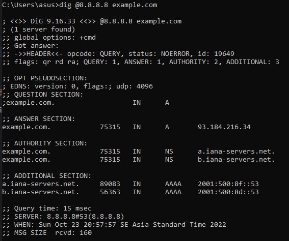 Dig domain with specific DNS server