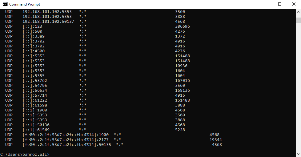 Command prompt with netstat command output